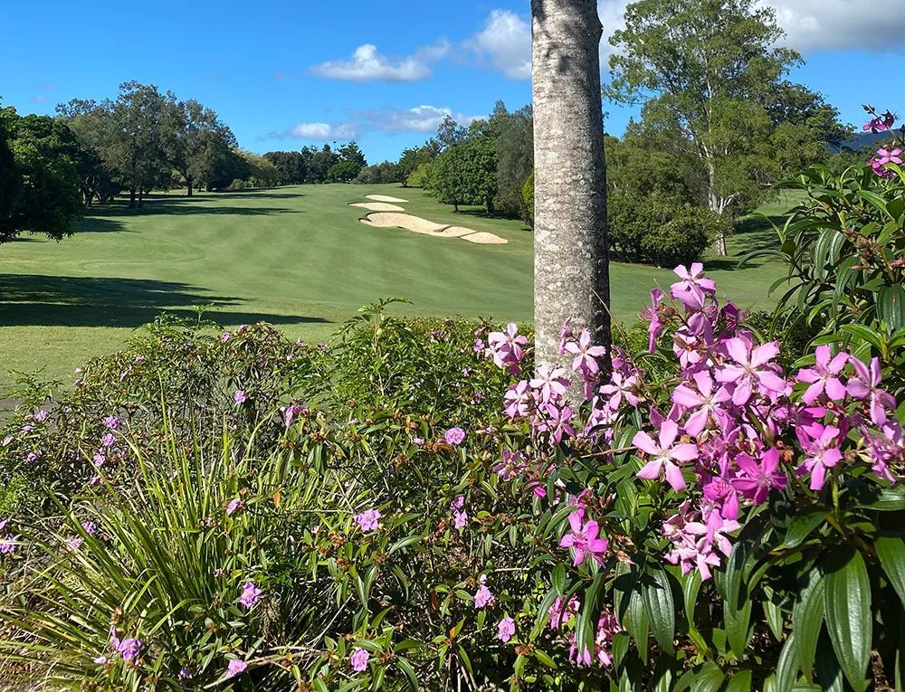 洛杉矶高尔夫课程,在黄金海岸玩