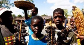 武汉肺炎，本可以不发生的。