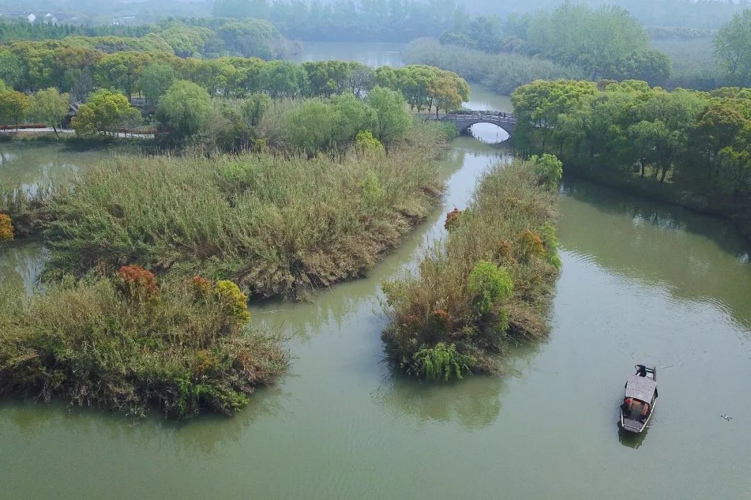 沙家浜旅游推荐,沙家浜夜游都有哪些好玩的
