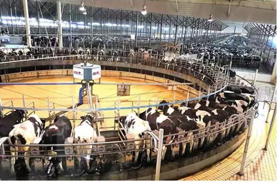 上市后业绩暴增近100倍,上市以来业绩年年增长