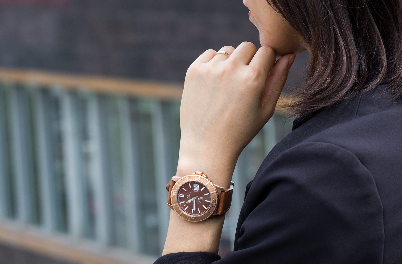 海鸥海洋之星青铜限量版价格,海鸥青铜手表价格及图片