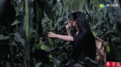 娶妻当娶李子柒小说作品列表,娶妻当娶李子柒前一句是啥