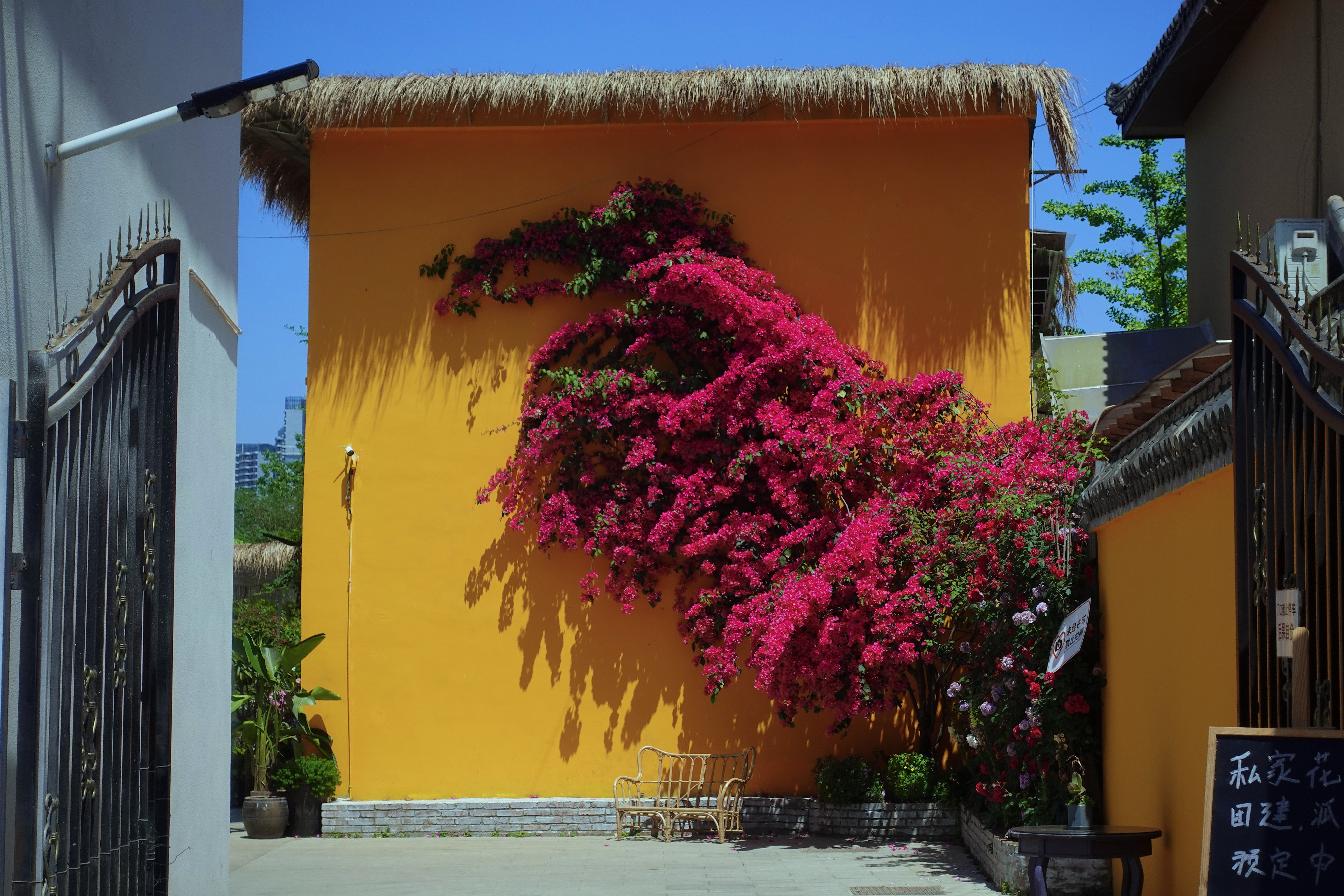 2021幸福感城市成都,2021最具幸福感城市成都