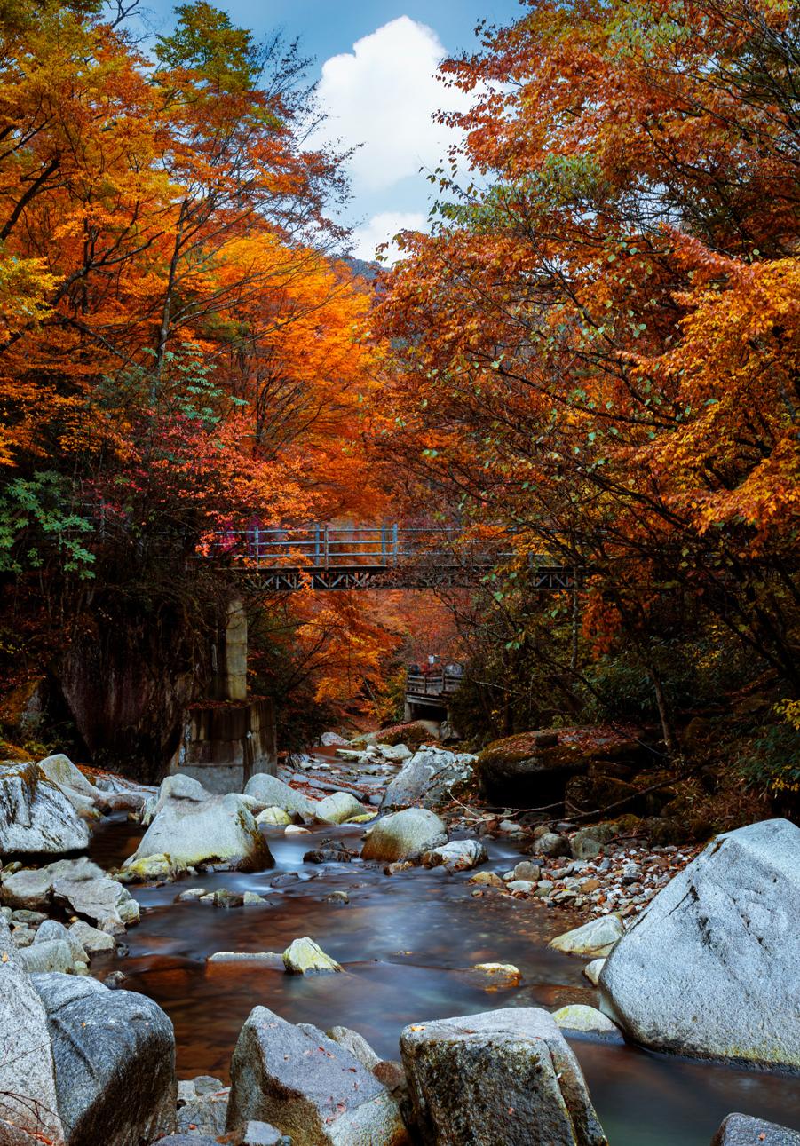 9月国内最美的10个最佳旅行地推荐,金秋十月寻找最美旅行地