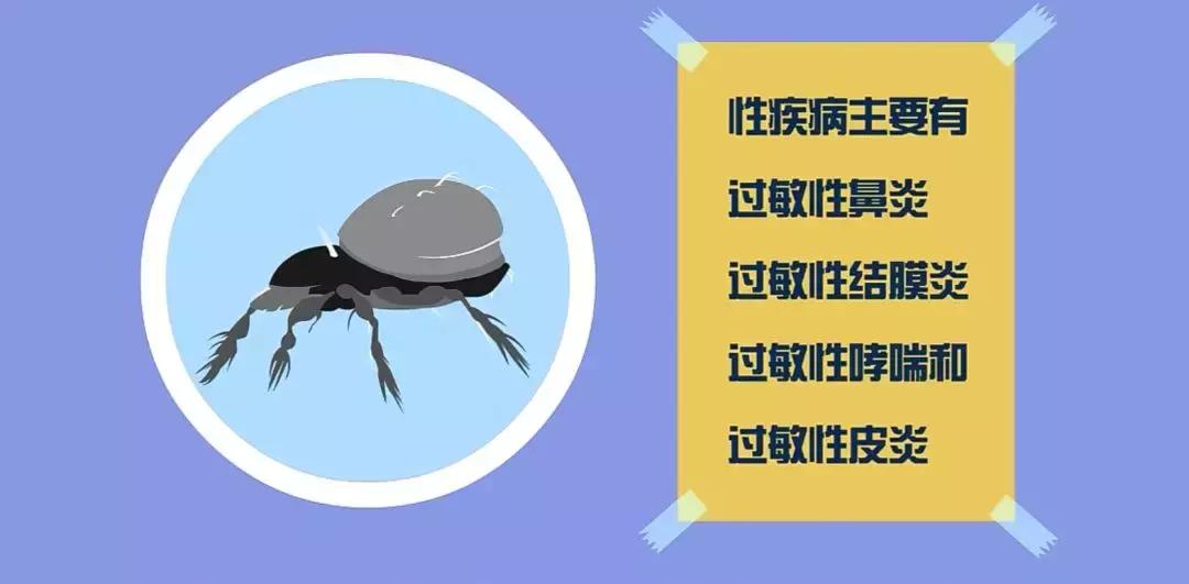 真正脸部除螨的产品,脸上除螨神器怎么用