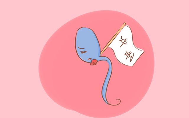 受孕时精子要经过宫腔吗,受孕对精子有什么要求