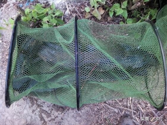 忙里偷闲抽点时间出来钓鱼,忙里偷闲去钓鱼的视频