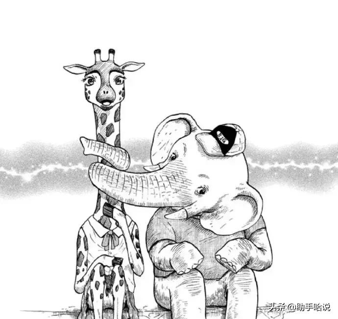 四川人和台湾人说话叠词,四川人的叠词有多可爱