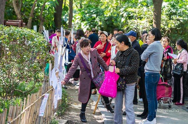 成都网红旅行攻略,四川成都新津最新网红打卡景点
