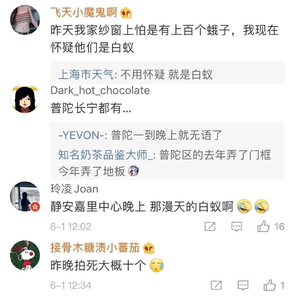 你以为的飞蛾可能是白蚁！又到白蚁肆虐时，防治记牢这七点