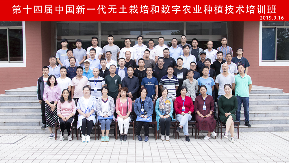 无土栽培技术培训现场,有机生态型无土栽培技术