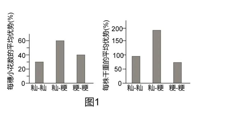 2020北京卷生物高考,北京高考生物试卷难吗