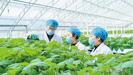 吹响决战决胜脱贫攻坚的号角,书写新时代的新答卷