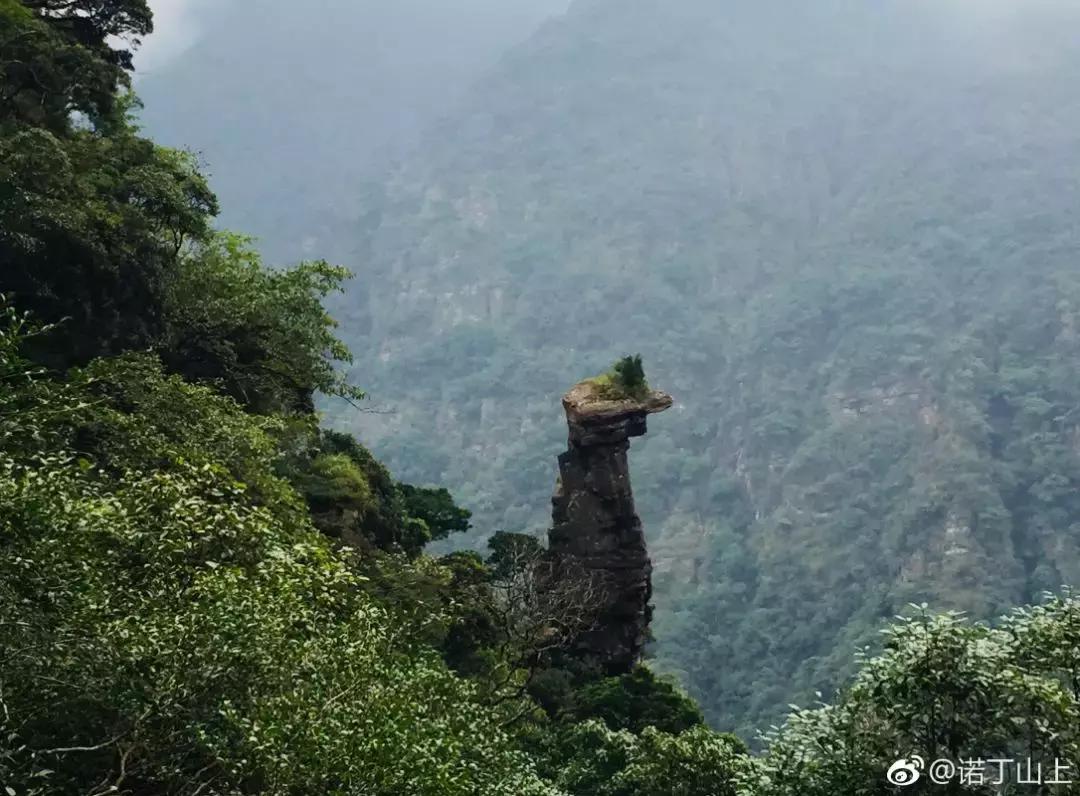 成都坐动车直达这片原始秘境!深幽峡谷、云海奇观、罕见古村…带你逃离夏天!