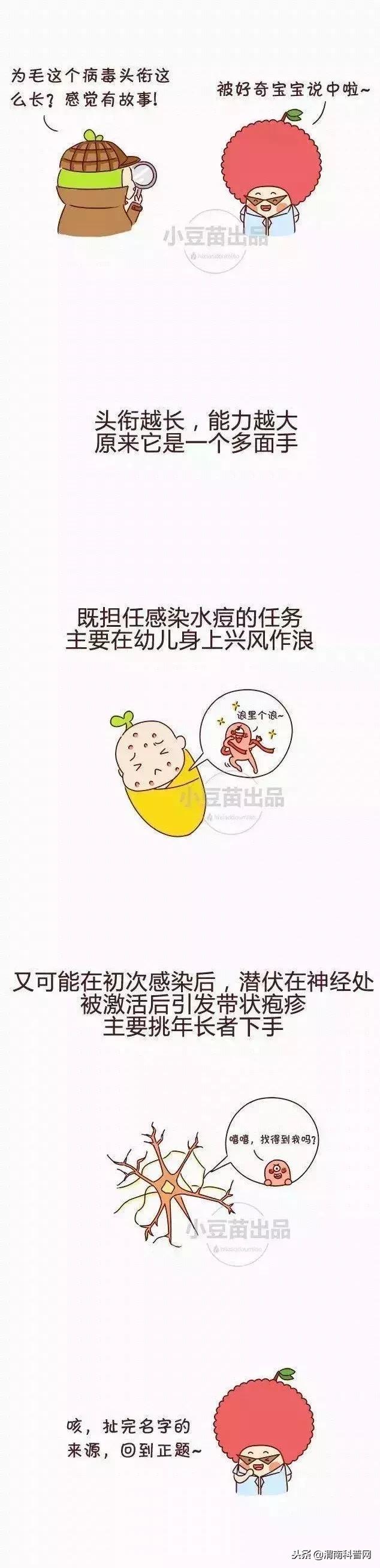 水痘基本知识图解,学校水痘的防控措施