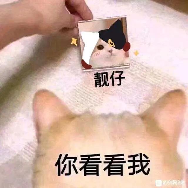 那些年，和话唠师父鸡飞狗跳的剑网3江湖日常