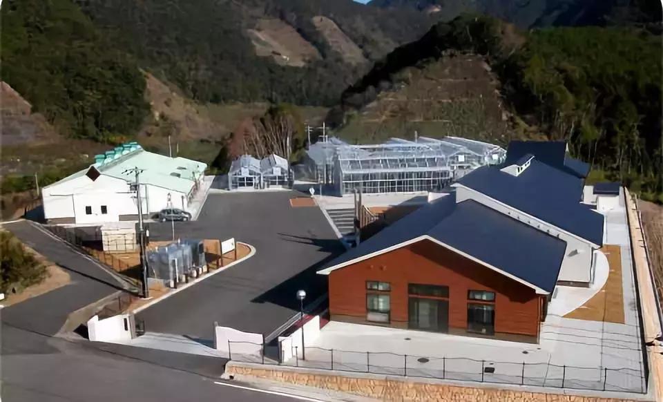 日本一线城市日本人少,日本一线二线三线人口