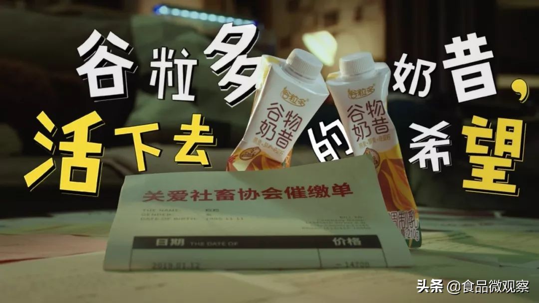 伊利谷粒多抗饿,伊利谷粒多秒杀