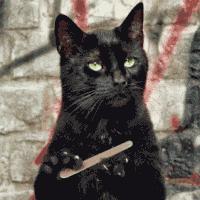 cosme大赏2020下半年平价产品,2018cosme大赏排行