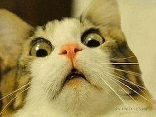 一人吃两人补,准妈妈们如何更科学地食用海参呢?