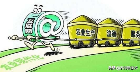 农村电商的未来之路是怎样的呢,农村电商发展的困境有哪些问题