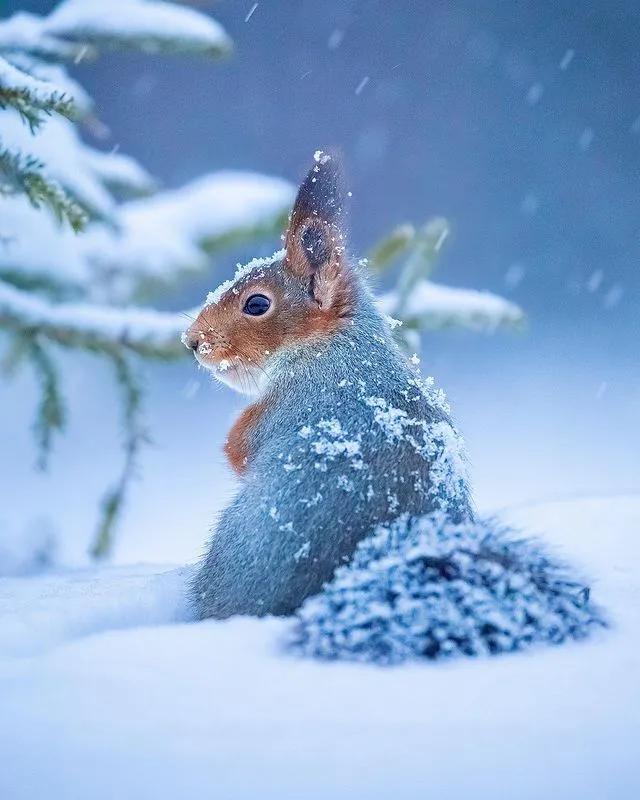 葬礼当天，她成为了四个孩子的“后妈”，网友：这是童话故事吧