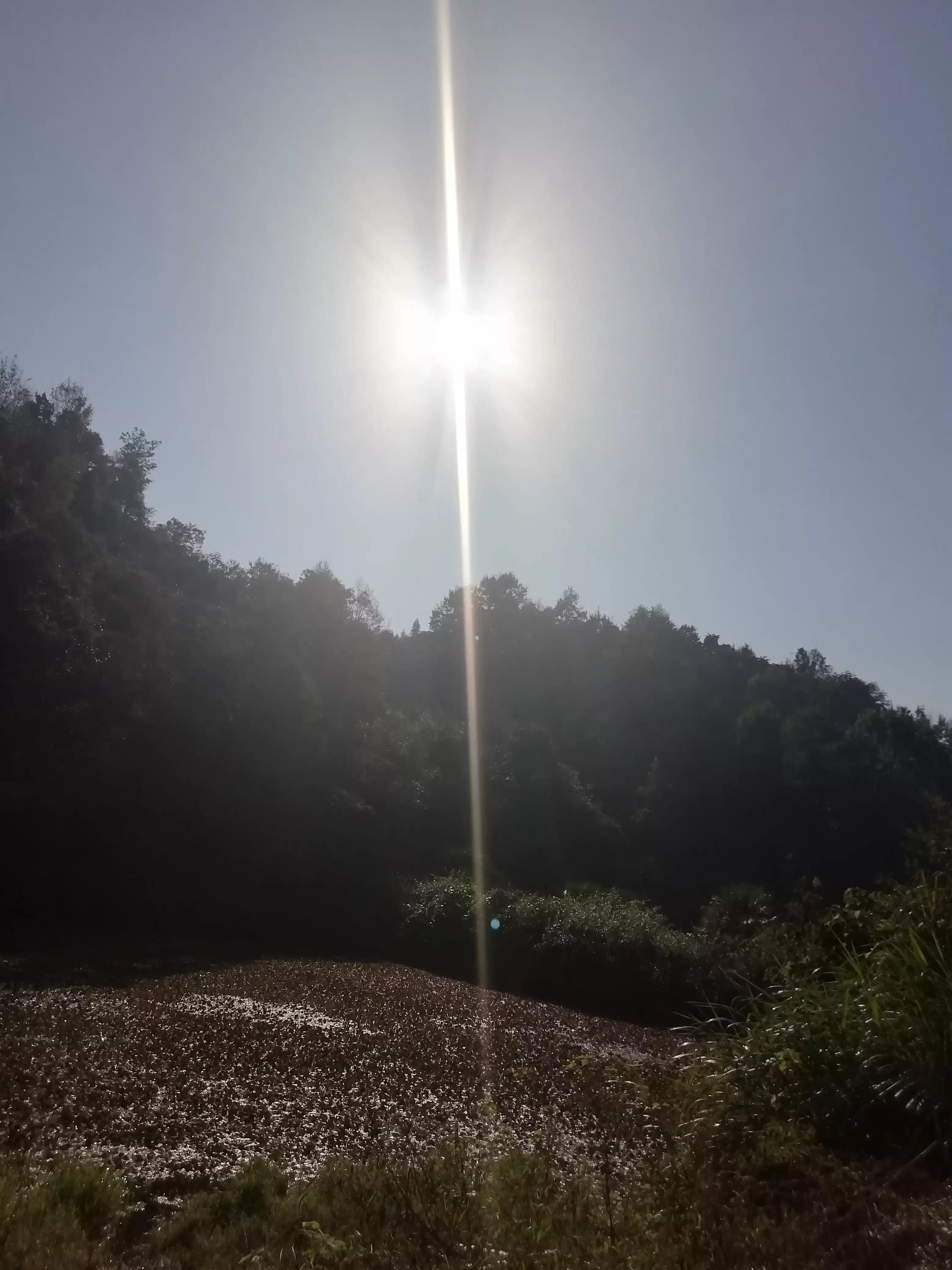 怎么样获得真正的自由?