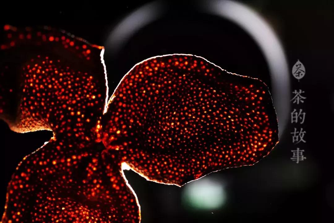 一两陈皮一两金指的是几年陈皮,一两陈皮一两金的出处