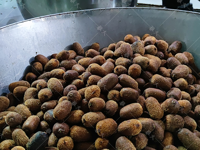 野生猕猴桃的酒叫什么酒,野生猕猴桃怎么做酒