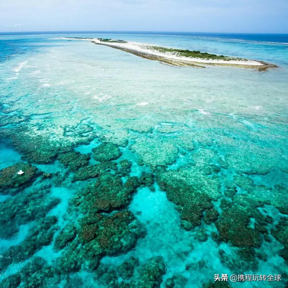 冲绳2月看樱花,冲绳哪里看樱花