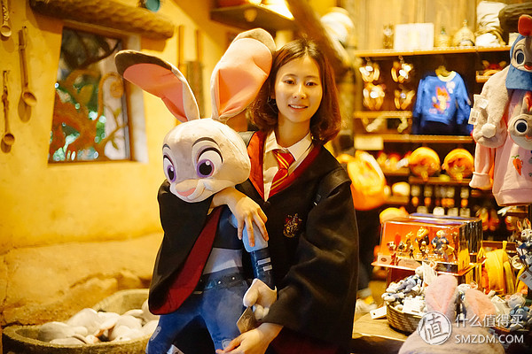 哪个时候最适合去迪士尼,第一次去迪士尼最新攻略