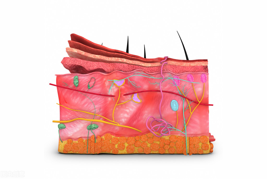 补水保湿面霜的正确使用方法,面霜护肤的正确步骤