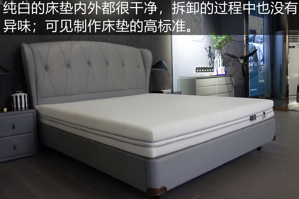 晚安床垫推荐测评,晚安瑞赛尔3d床垫怎么样