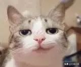 娇兰丝柔散粉好用吗,适合娇兰的散粉