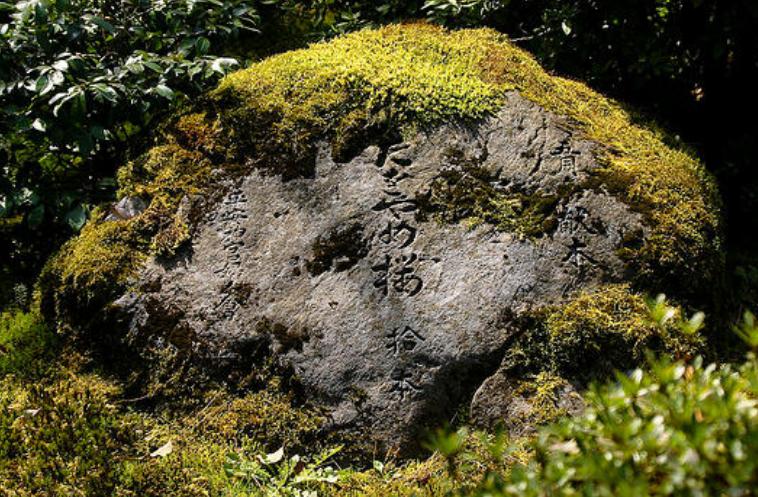 钙片和石灰石有区别吗,大理石钙片