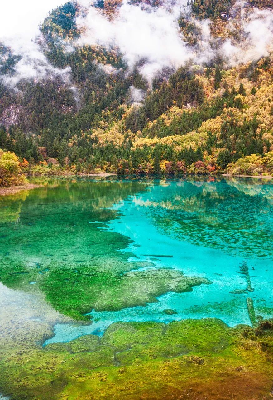 2017年九寨沟地震视频,地震前的九寨沟人间仙境