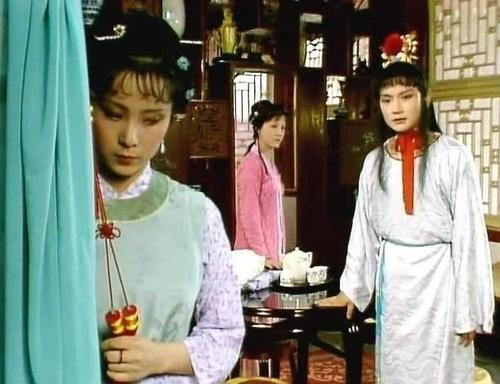 贾宝玉如何对待袭人和晴雯的,贾宝玉为什么给袭人来上一脚