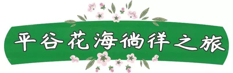 北京周边最美自驾公路,北京周边适合自驾人少的路线