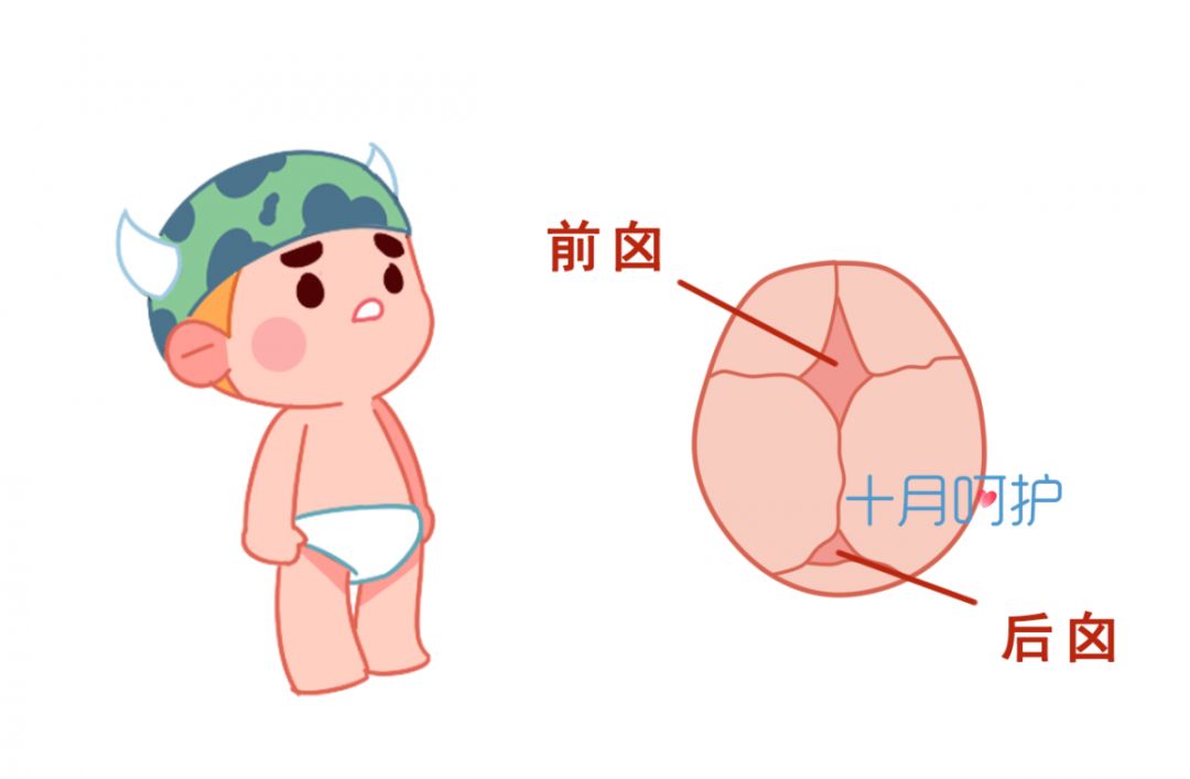 刚出生的宝宝怎样的表现是健康的,新生儿出生1-6个月常见问题