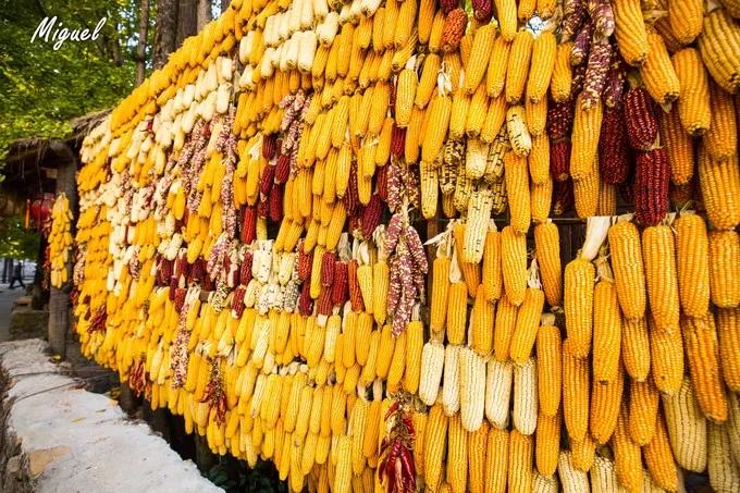 腾冲旅游攻略气温,腾冲深度旅游