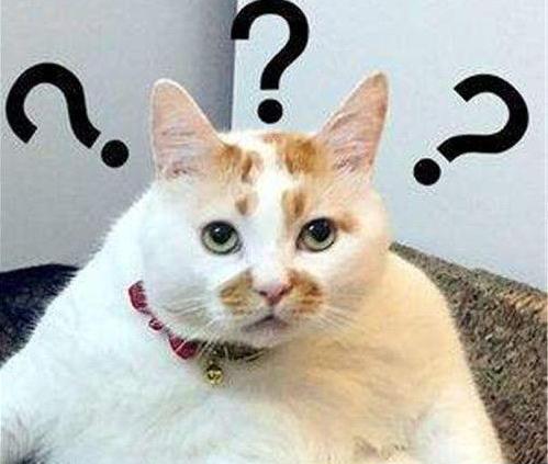 女气功白金徽章选什么100级,女气功梦想白金徽章选哪个2023