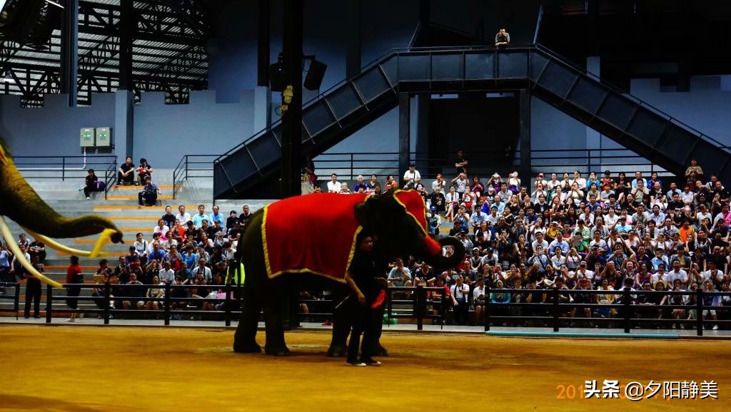 泰国芭提雅东芭乐园视频,芭提雅东芭乐园游玩攻略