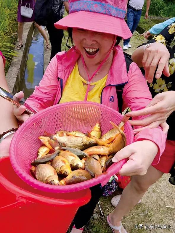 生态养殖助推渔业高效发展,渔业发展显成效