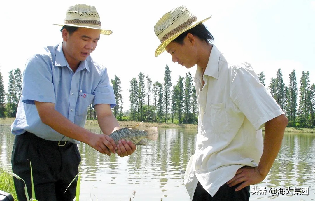 农民日报养殖视频,农民日报农民能挣多少钱