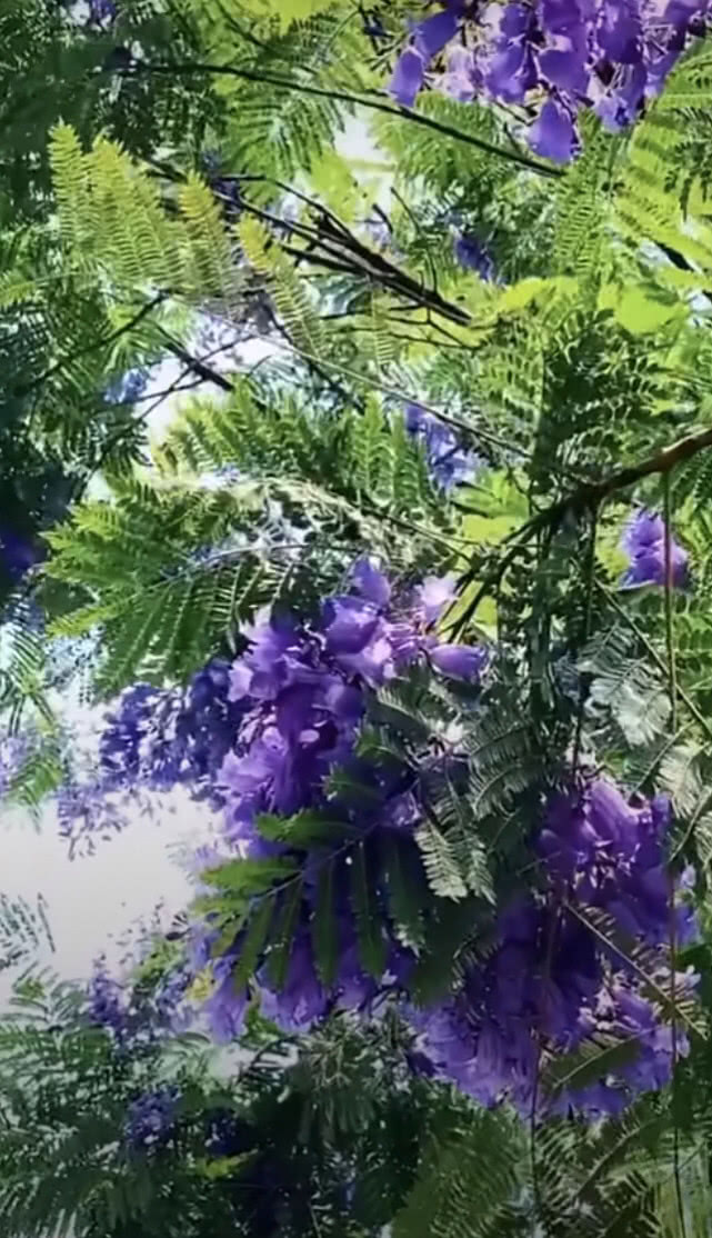 公公吵架骂儿媳妇怎么办,小两口吵架公公应怎样安慰儿媳妇