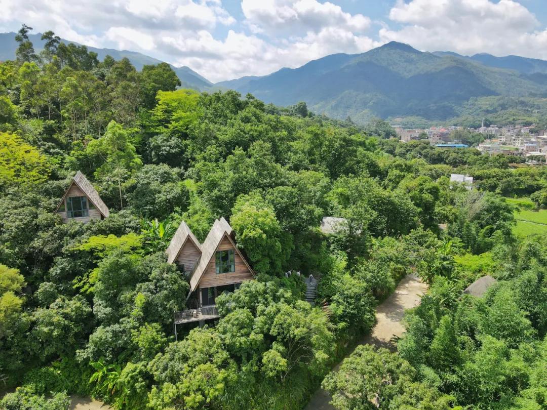 探访林溪山涧的森居之旅,长泰之旅