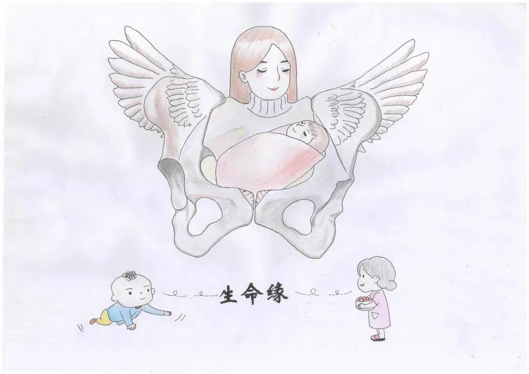 左手丹青，右手手术刀，985名校医学生笔记曝光！网友：这是学神级别的！