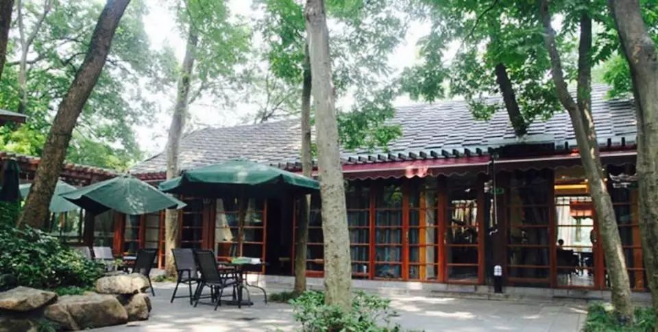 花港一楼茶楼,花港早茶