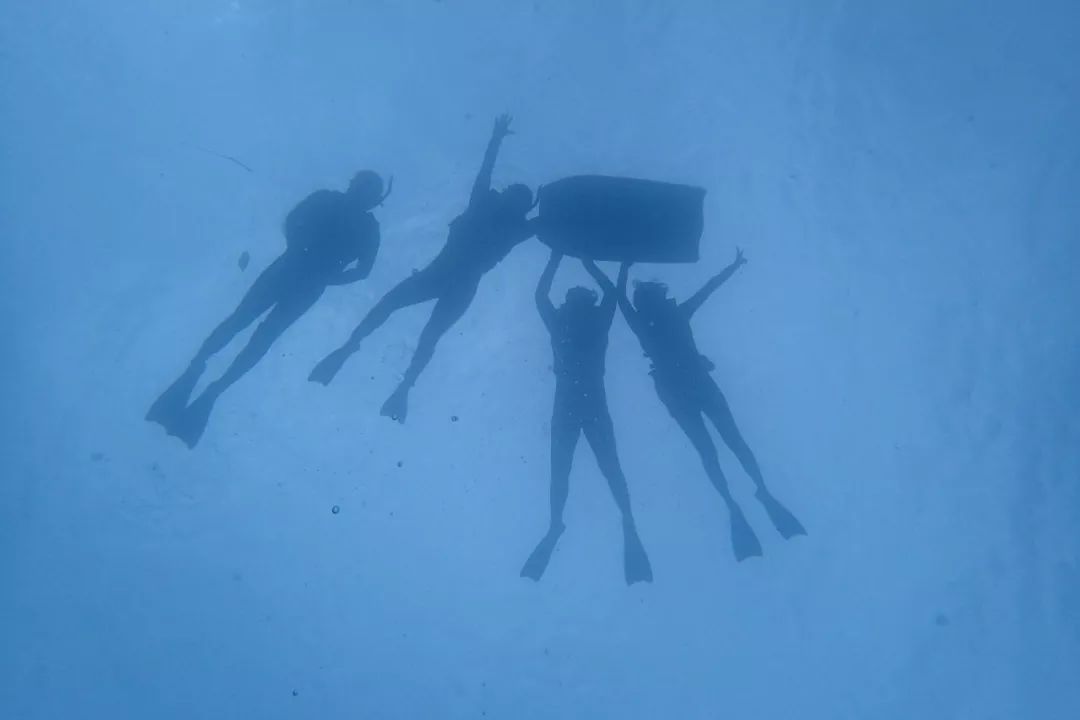 帕劳金色水母,帕劳水母旅行