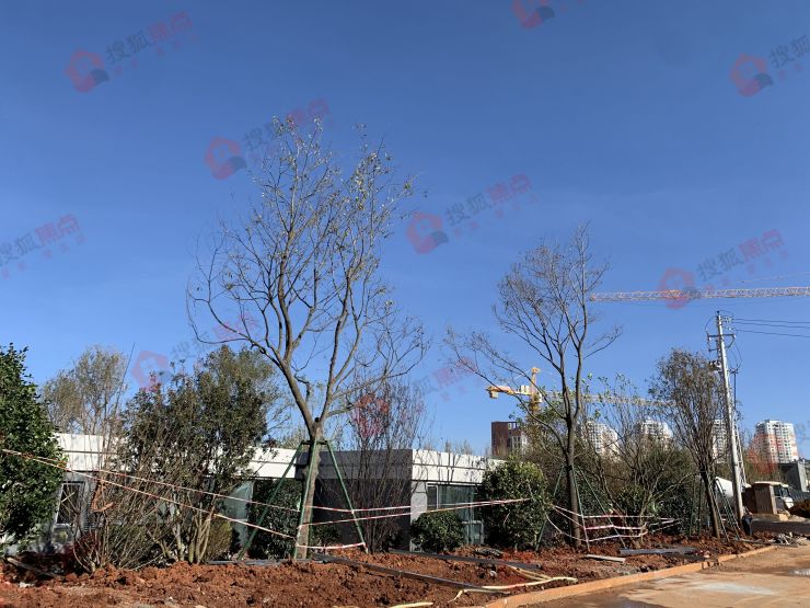 烂尾楼鬼城买到了怎么办,烂尾城中村